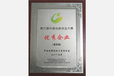 第六届中国创新创业大赛优秀奖奖牌